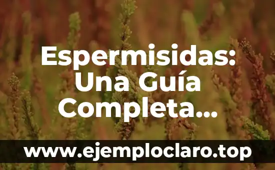 Espermisidas: Una Guía Completa Sobre Su Significado y Uso