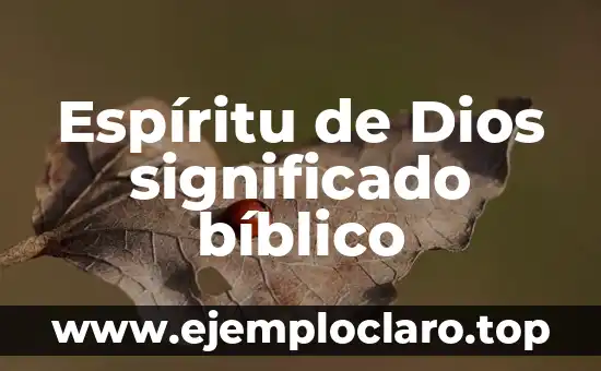 Hoz en la Biblia: Un símbolo de poder y espíritu 5 Espíritu de Dios significado bíblico