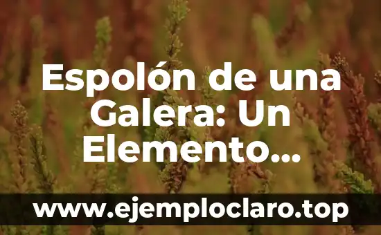 Espolón de una Galera: Un Elemento Emblemático en la Historia Naval