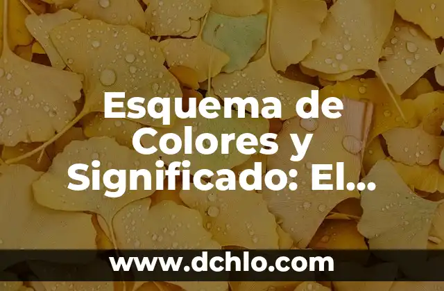 Significado Escudo de Armas Navarro 6 Esquema de Colores y Significado: El Arte de la Combinación Cromática