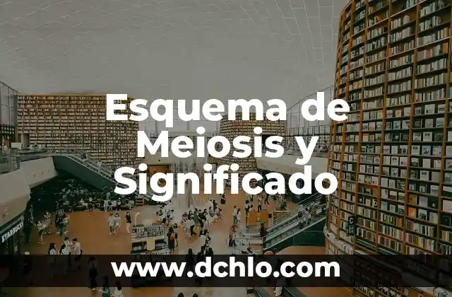 El Significado de Propicio 8 Esquema de Meiosis y Significado