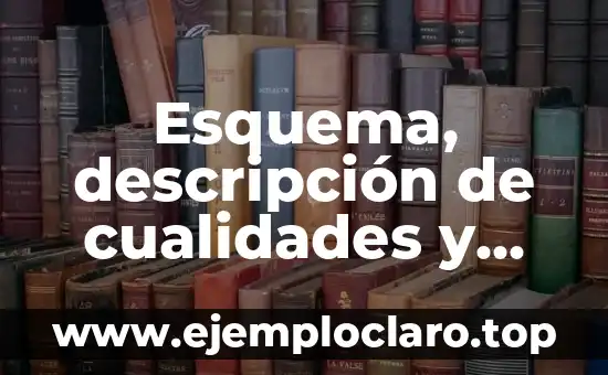 Esquema, descripción de cualidades y significado: La base de la claridad conceptual