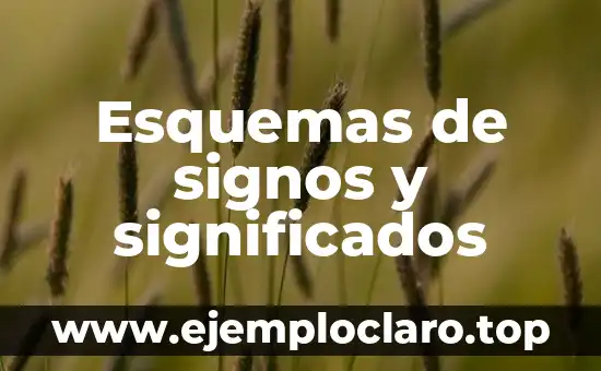 Reumatismo: Una guía completa sobre sus significados y tipos 7 Esquemas de signos y significados