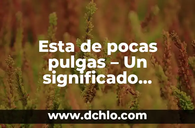 Cual es el significado de pululan 5 Esta de pocas pulgas – Un significado profundo detrás de una expresión coloquial