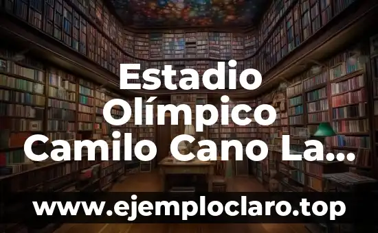 Estadio Olímpico Camilo Cano La Nucía: Todo lo que debes saber sobre este emblemático recinto deportivo