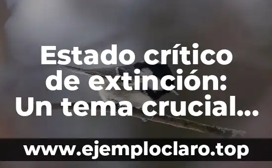 Estado crítico de extinción: Un tema crucial para la conservación