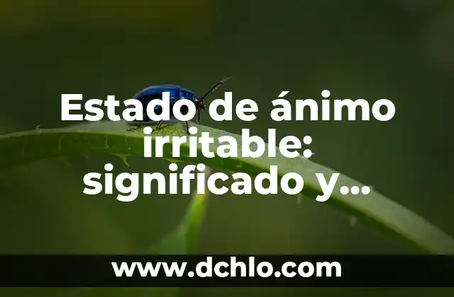 Como hacer las características de un cuento 6 Estado de ánimo irritable: significado y características