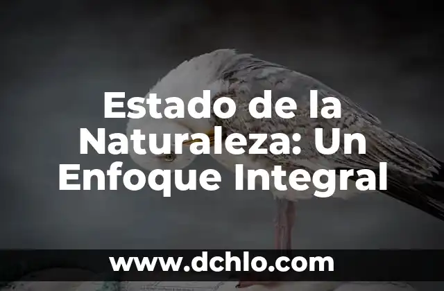 Refranes de animales con significado: Sabiduría a través de la naturaleza 7 Estado de la Naturaleza: Un Enfoque Integral