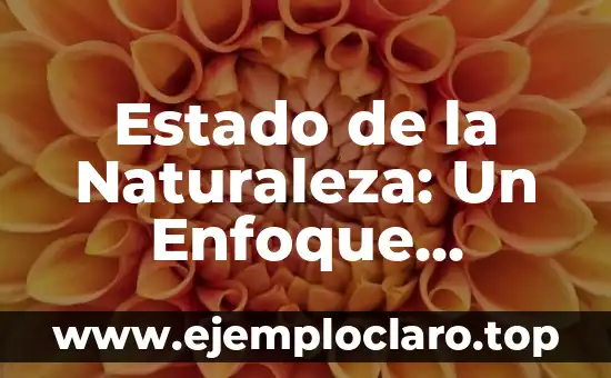 Palabras con significado de naturaleza: Un viaje al corazón del lenguaje ambiental 7 Estado de la Naturaleza: Un Enfoque Integral