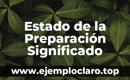 Estado de la Preparación Significado