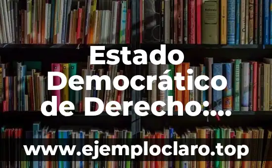 Estado Democrático de Derecho: Concepto Fundamental de la Democracia Moderna