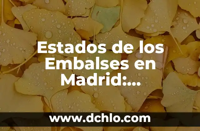 Mexico: Un Viaje a Través de los Significados de sus Estados 5 Estados de los Embalses en Madrid: Información Actualizada y Relevante