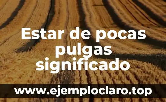 Significado en Tatuajes de Vikingos: Un Viaje a la Simbología Nórdica 8 Estar de pocas pulgas significado