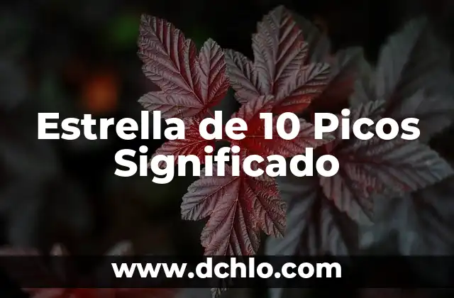 Cómo hacer el altar a la estrella de Wither 3 Estrella de 10 Picos Significado