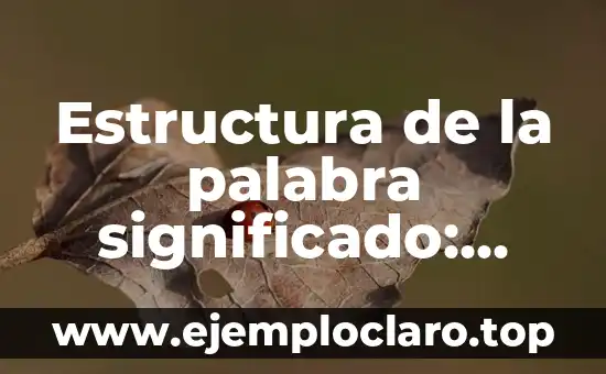 Inicio de un cuento: significado y estructura narrativa 7 Estructura de la palabra significado: Guía completa