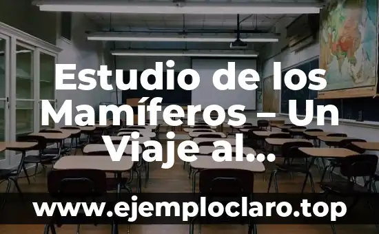 Estudio de los Mamíferos - Un Viaje al Corazón de la Biología