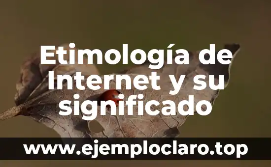 El significado en latín de 'bulla': Un viaje al origen de la palabra 7 Etimología de Internet y su significado