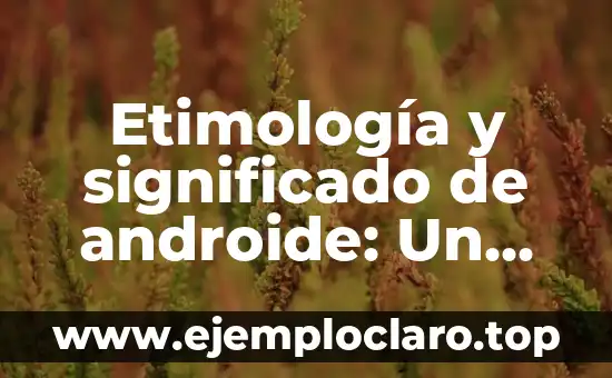 Etimología y significado de androide: Un viaje a través del tiempo y la robótica