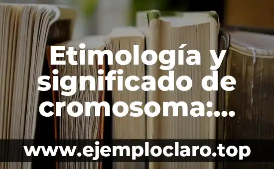Significado en latín de 'barbaro': Un viaje al origen de la palabra 5 Etimología y significado de cromosoma: Descubriendo su origen y función