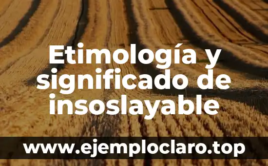 El significado en latín de 'bulla': Un viaje al origen de la palabra 4 Etimología y significado de insoslayable