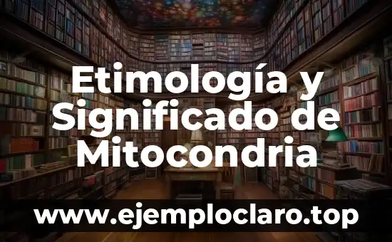 ¿Cuál es el significado de revelación? 7 Etimología y Significado de Mitocondria
