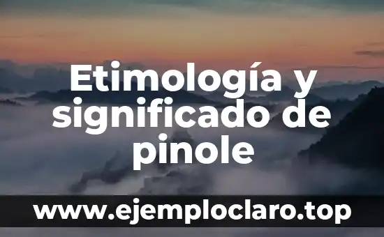 ¿Cuál es el significado de revelación? 3 Etimología y significado de pinole