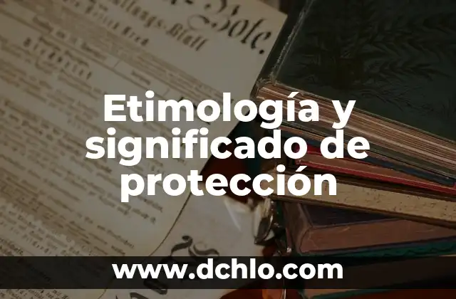 Protección de Pantalla: Descubre su Significado en Inglés 6 Etimología y significado de protección