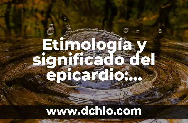 La Función de la Escuela y su Significado en la Sociedad 8 Etimología y significado del epicardio: Descubre su origen y función