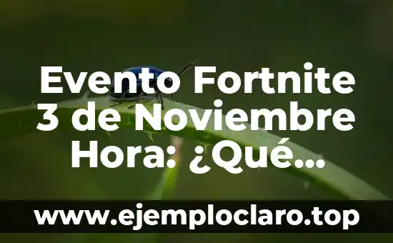 Como Hacer para No Esperar Nada de Nadie 6 Evento Fortnite 3 de Noviembre Hora: ¿Qué Esperar de este Gran Evento?