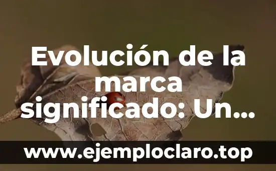 Evolución de la marca significado: Un viaje en el tiempo de las identidades corporativas