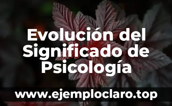 Evolución del Significado de Psicología