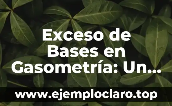 El significado del DNI en las bases de datos 5 Exceso de Bases en Gasometría: Un Enfoque Integral