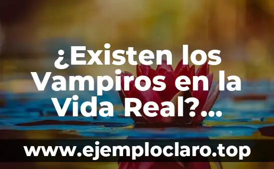 ¿Existen los Vampiros en la Vida Real? Descubre la Verdad
