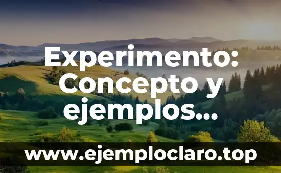Experimento: Concepto y ejemplos prácticos