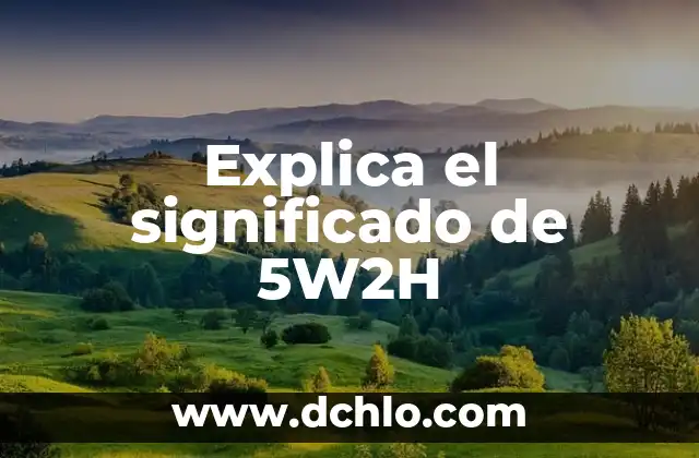 Significado en inglés de paste 8 Explica el significado de 5W2H