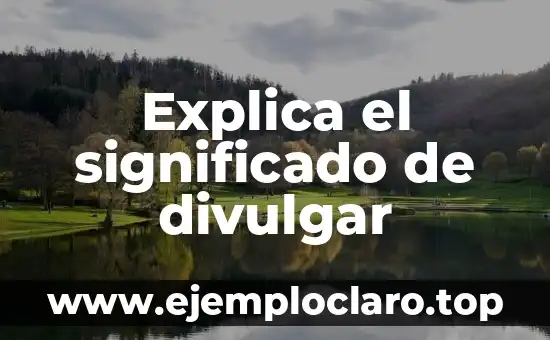 Explica el significado de divulgar