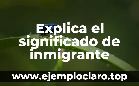 Explica el significado de inmigrante