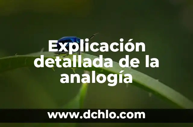 Investigar el significado de analogía 3 Explicación detallada de la analogía