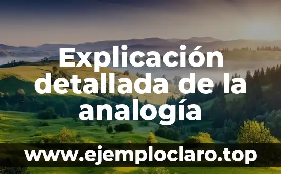 Explicación detallada de la analogía