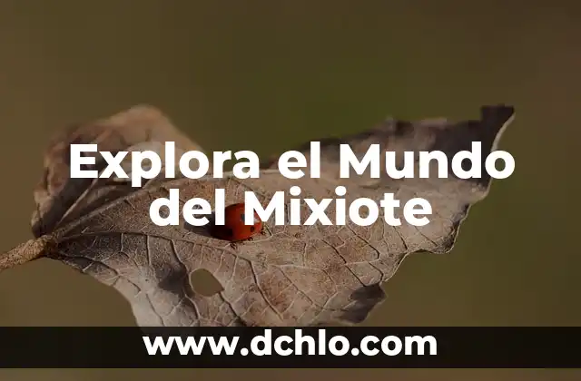 Explora el significado de vértice 7 Explora el Mundo del Mixiote