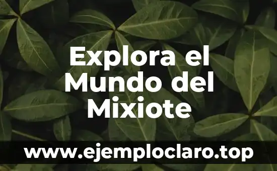 Explora el Mundo del Mixiote