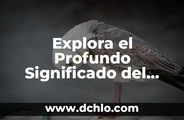 Significado del Nombre de Anit 3 Explora el Profundo Significado del Nombre Angelita