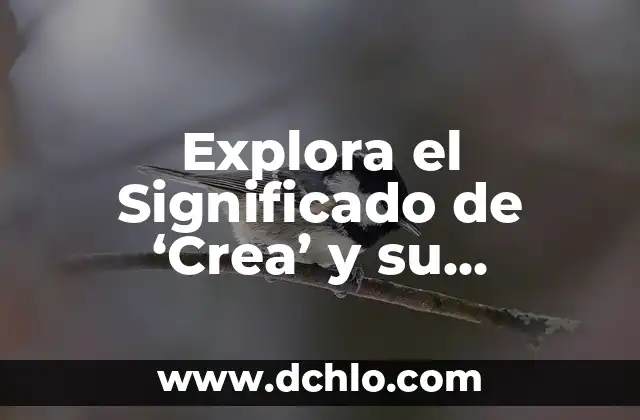 El Significado Etimológico de la Antropología Filosófica 5 Explora el Significado de ‘Crea’ y su Importancia en Diferentes Contextos