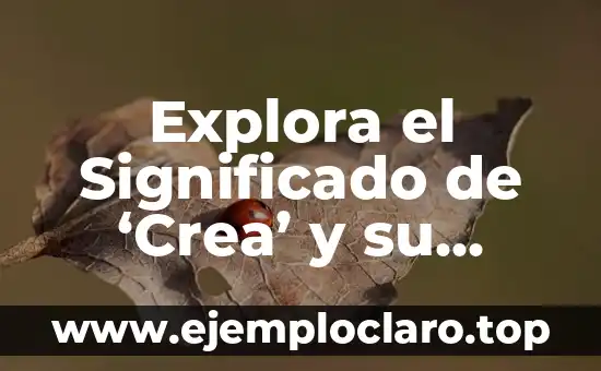Explora el Significado de ‘Crea’ y su Importancia en Diferentes Contextos