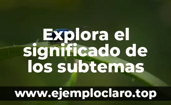 Explora el significado de los subtemas