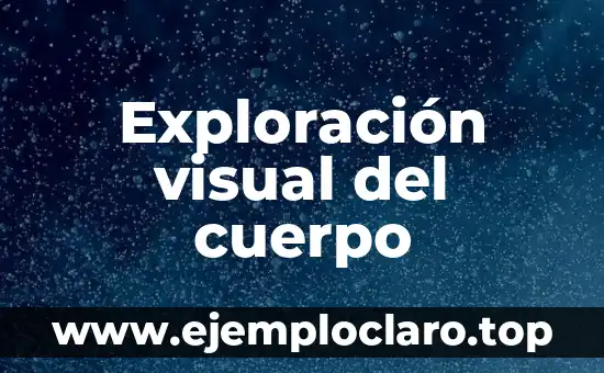 Exploración visual del cuerpo