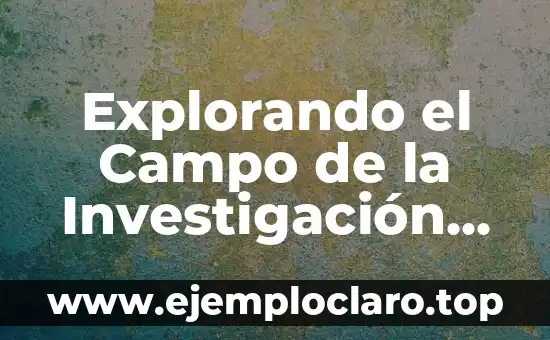 Investigación sobre el significado de deducir 5 Explorando el Campo de la Investigación Social