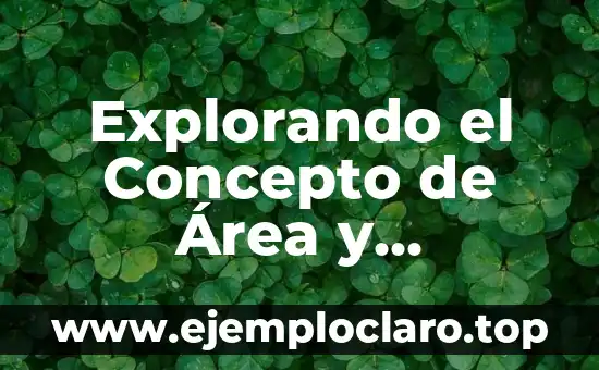 Cómo Calcular el Área del Rombo: Fórmula y Ejemplos 5 Explorando el Concepto de Área y Volumen