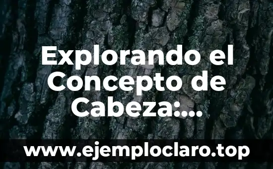 Explorando el Concepto de Cabeza: Significado y Significante