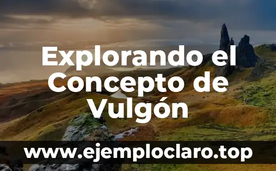 Explorando el Concepto de Vulgón